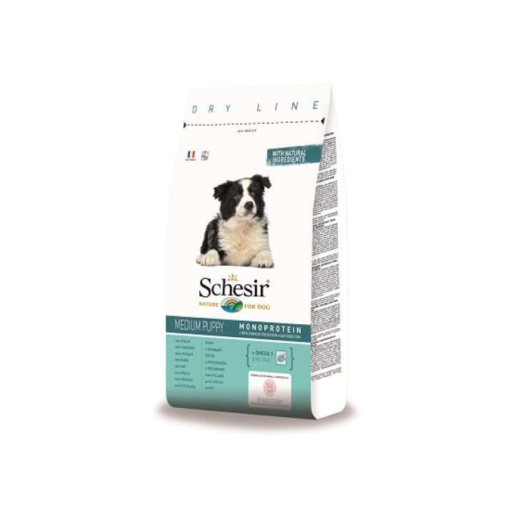 Dry Line Medium Puppy Mantenimento con Pollo - 12KG