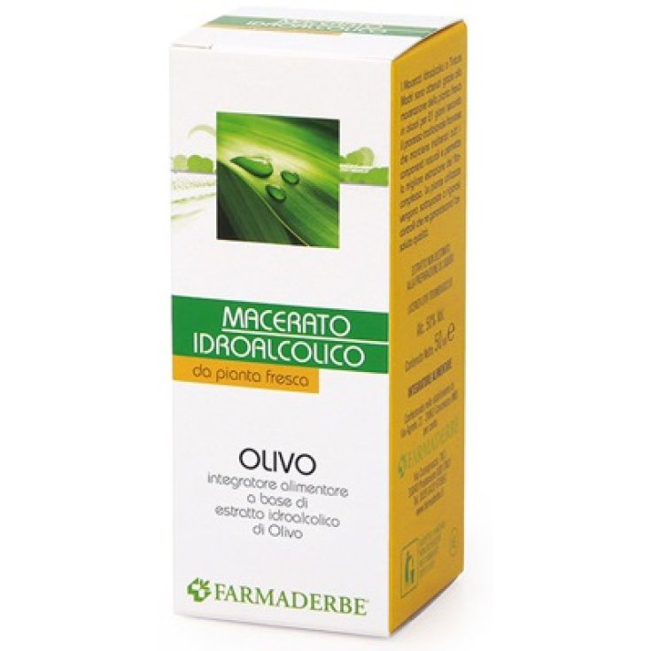 Olivo Macerato Idroalcolico 50ml