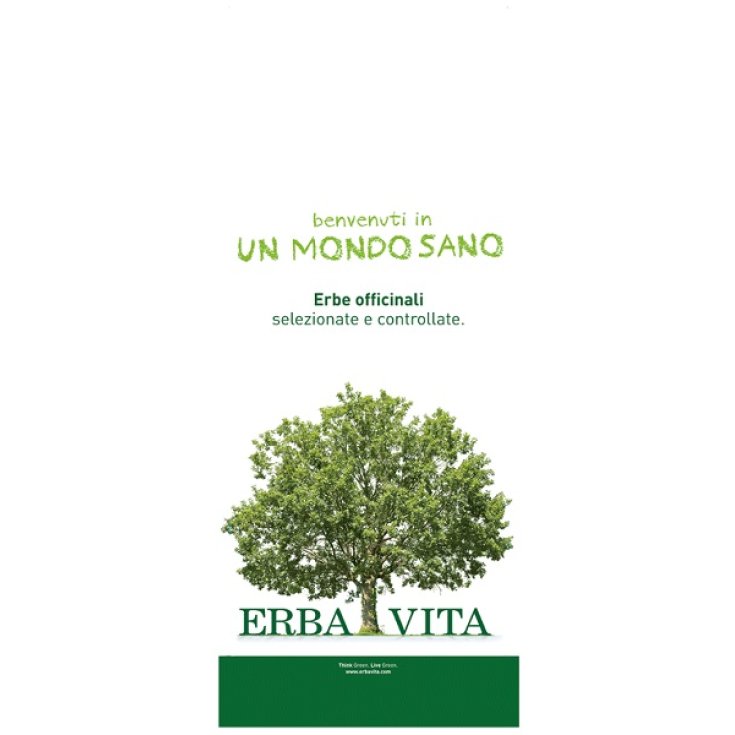Passiflora Sommita Taglio Tisana Erba Vita 1Kg