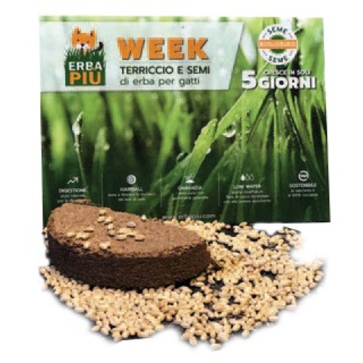 WEEK ERBA PIU' KIT SEMINA