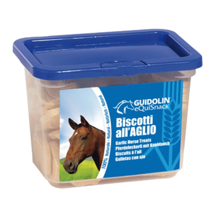 EQUISNACK BISCOTTI AGLIO 700G