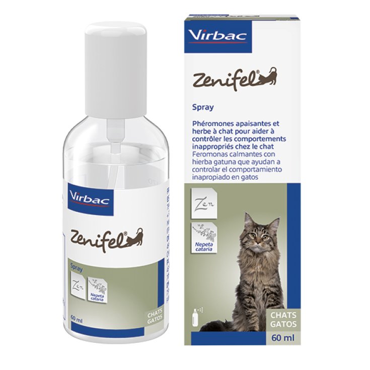 ZENIFEL SPRAY 60ML