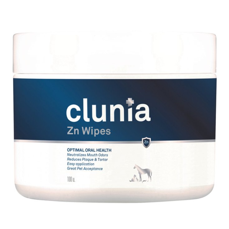 CLUNIA ZN WIPES 100PZ