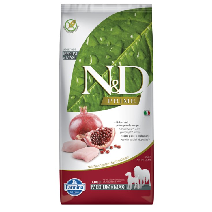 N&D PRIME DOG CHI&POM AD M/M