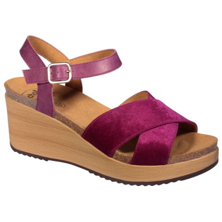 Vanessa Fucsia Tg.39 Scholl