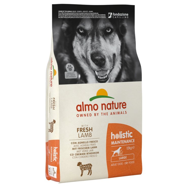 Holistic Fresh Large Agnello e Riso - 12KG