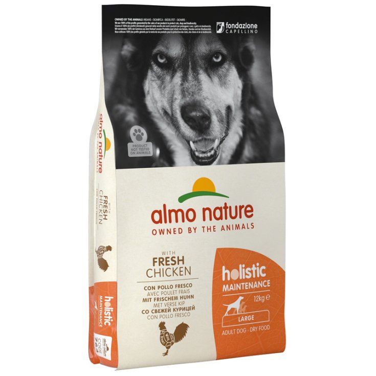 Holistic Fresh Large Pollo e Riso - 12KG