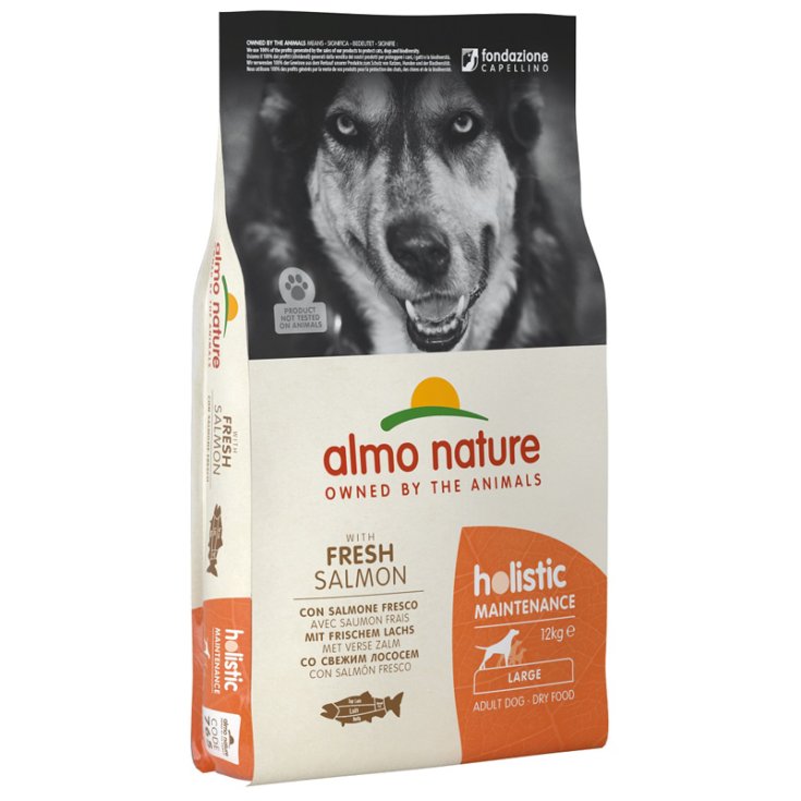 Holistic Fresh Large Salmone e Riso - 12KG