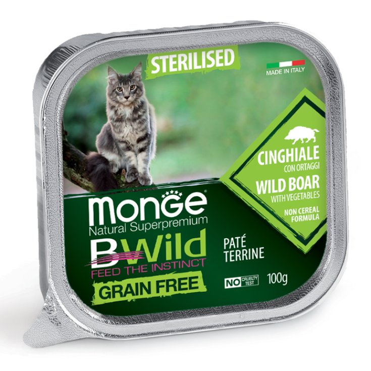BWild Adult Pat&eacute; Terrine Acciughe con Cinghiale con Ortaggi &ndash; Sterilised - 100GR