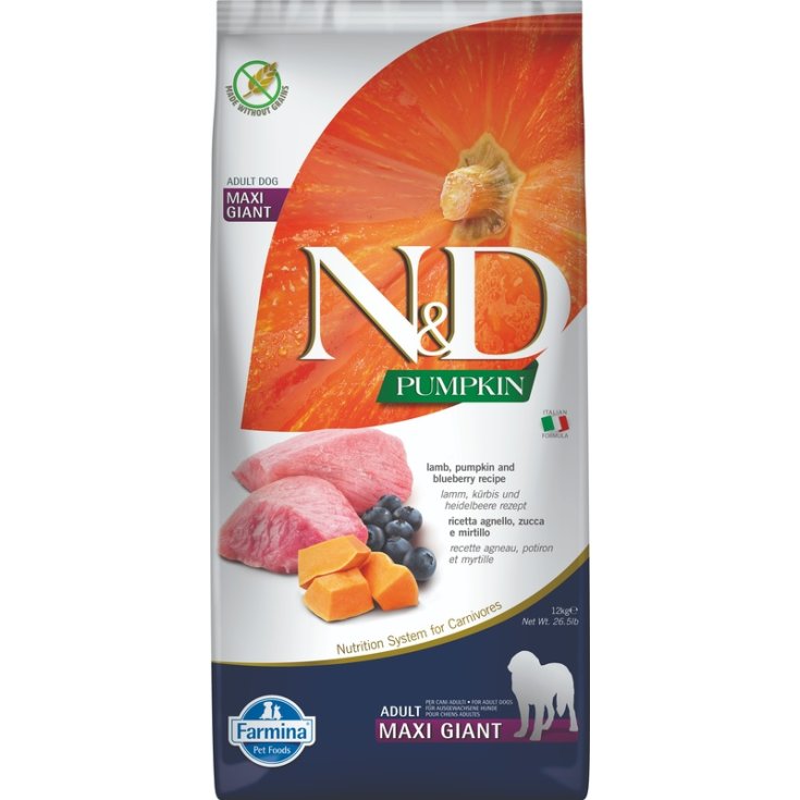 Natural & Delicious Pumpkin Grain Free Adult Maxi & Giant con Agnello, Zucca e Mirtillo  - 12KG