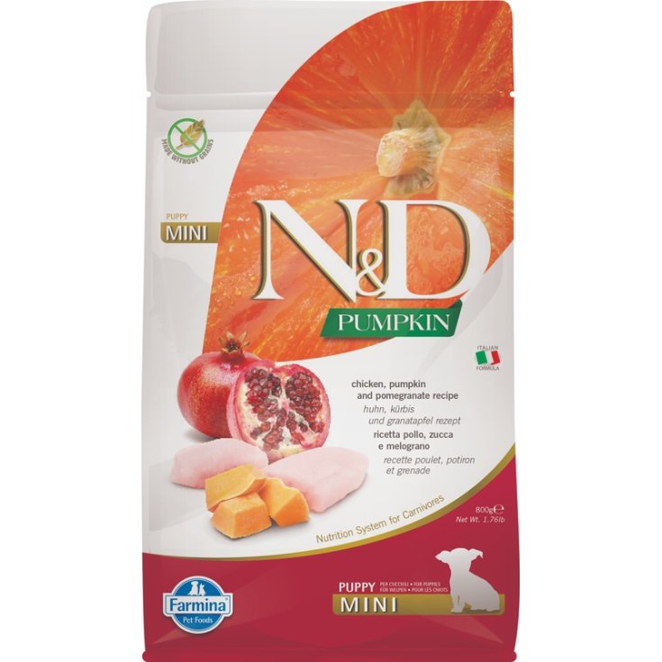 Natural & Delicious Pumpkin Grain Free Puppy Mini con Pollo, Zucca e Melograno - 800GR