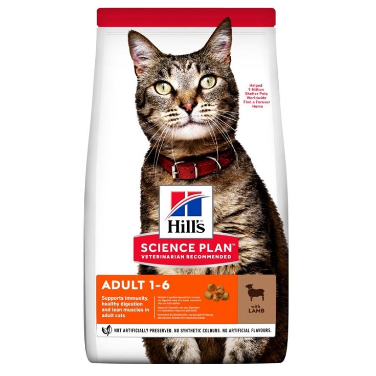 Science Plan Adult Medium con Agnello - 300GR