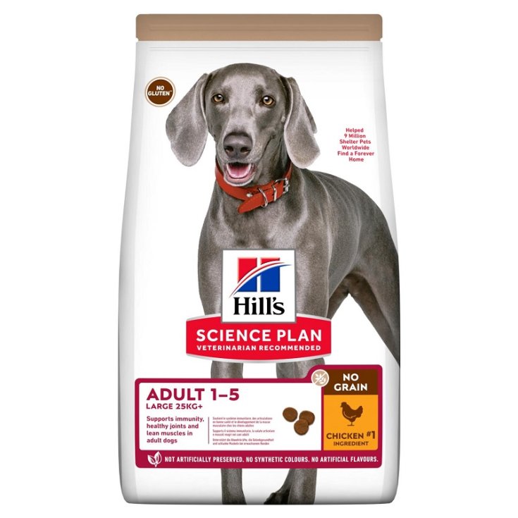 Science Plan No Grain Adult Large Breed con Pollo - 12KG
