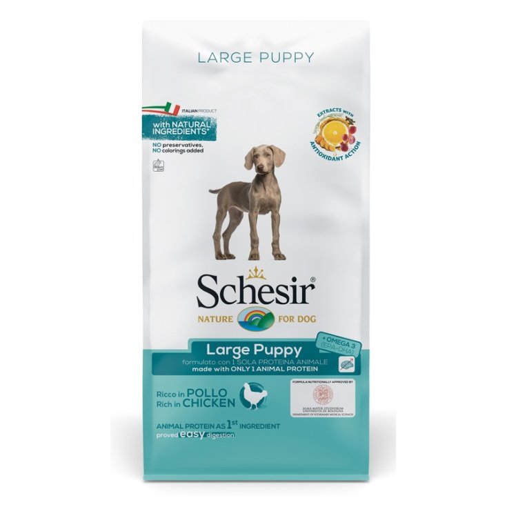 Dry Line Large Puppy Mantenimento con Pollo - 12KG