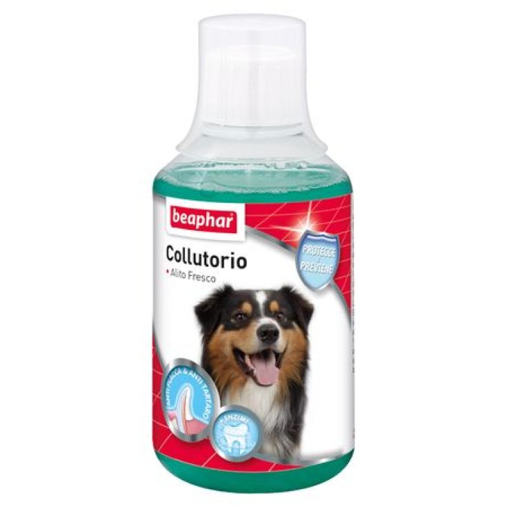 Colluttorio - 250ML