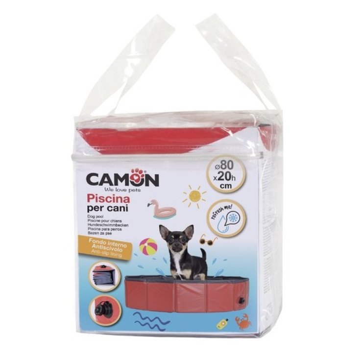 Doggy Pool Piscina per Cani - &oslash; 120 x H 30 cm
