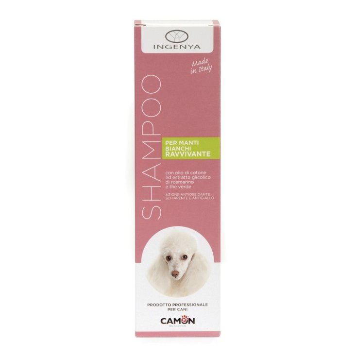Shampoo Ravvivante per Manti Bianchi - 250ML
