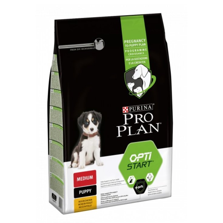 PP DD M PUP HEALTHY 3KG