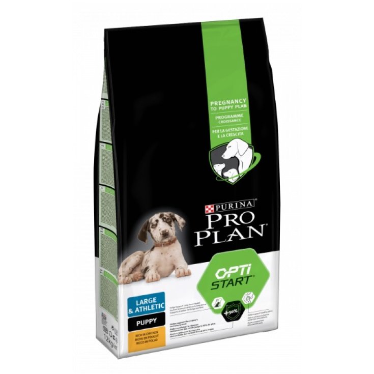 PP DD L PUP ATHL HEALTHY 3KG