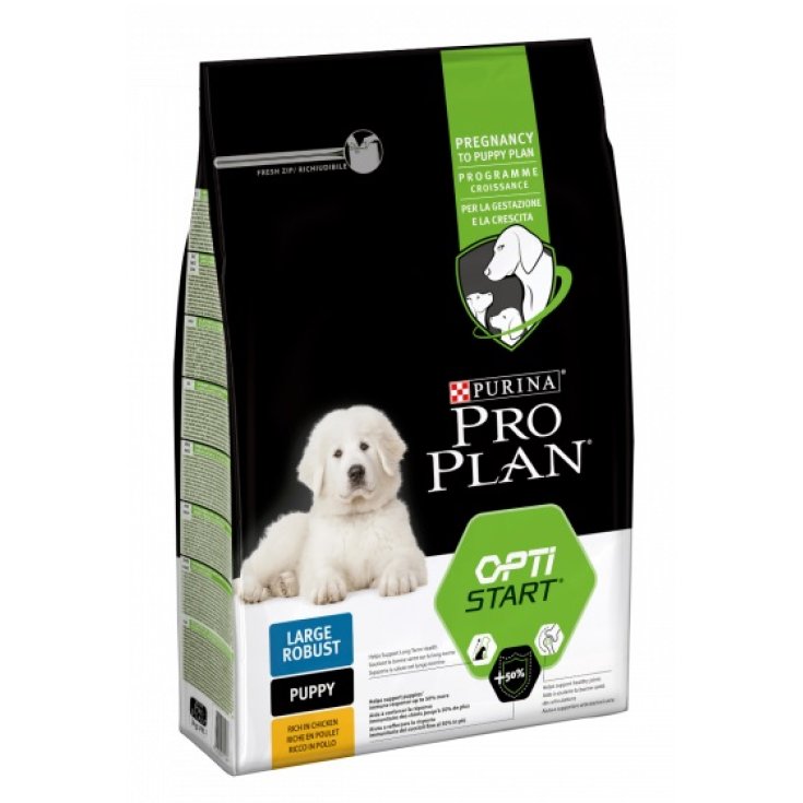Pro Plan Large Puppy Robust Optistart con Pollo - 12KG