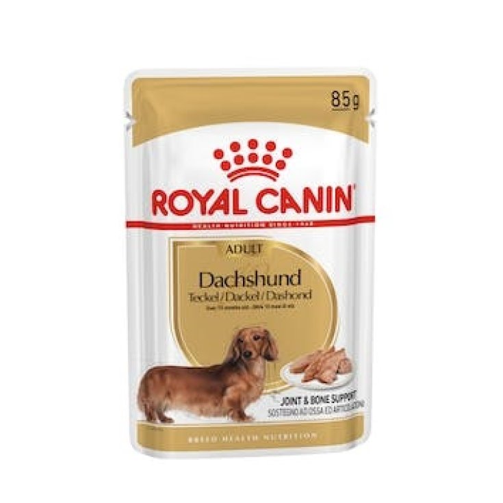 Dachshund Adult - 85GR