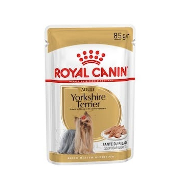 Yorkshire Terrier Adult - 85GR