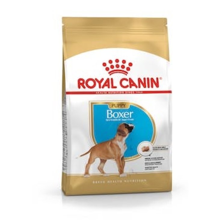 Boxer Junior - 12KG