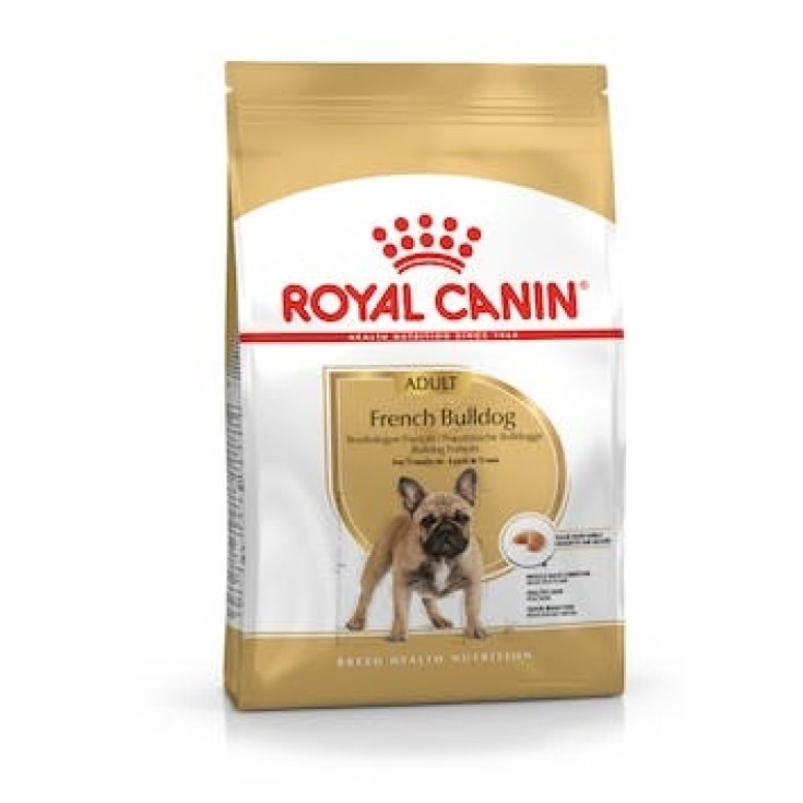 Bulldog Francese Adult - 3KG