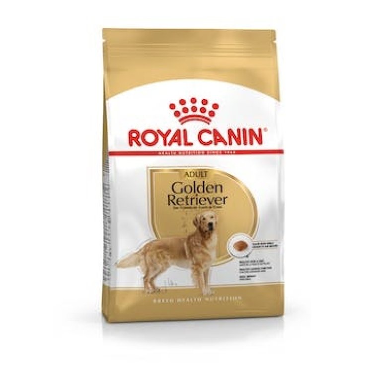 BHN GOLDEN RETRIEVER AD 12KG