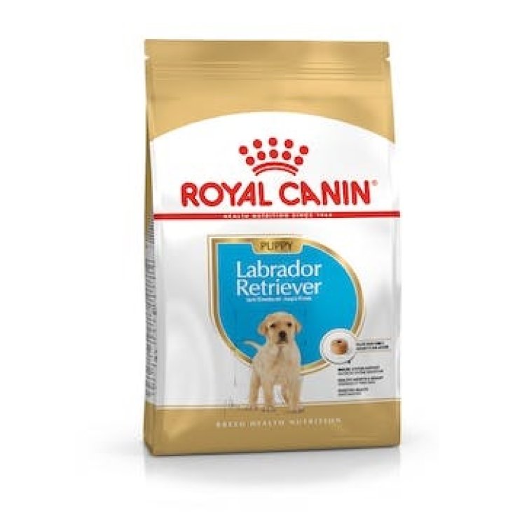 Labrador Retriever Junior - 3KG