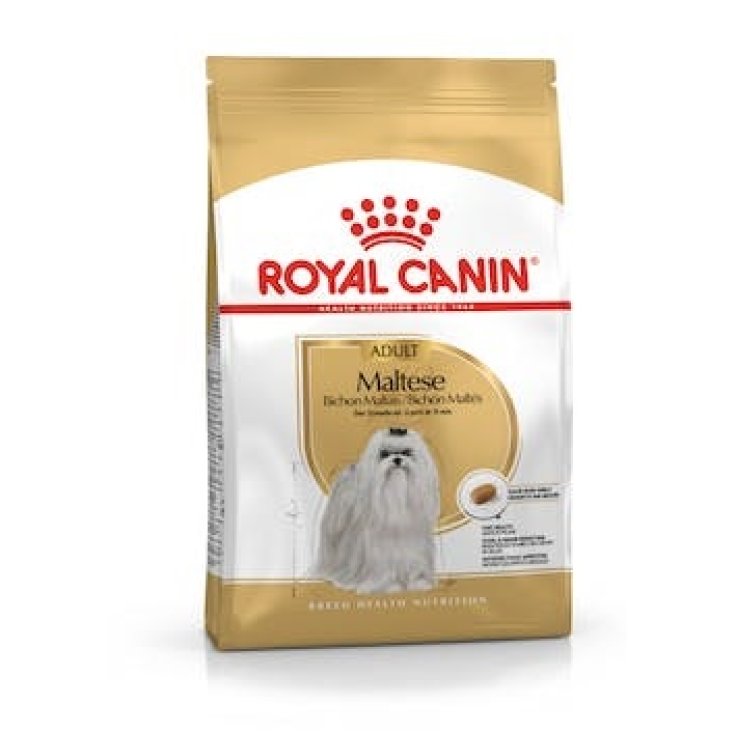 Maltese Adult - 1,50KG