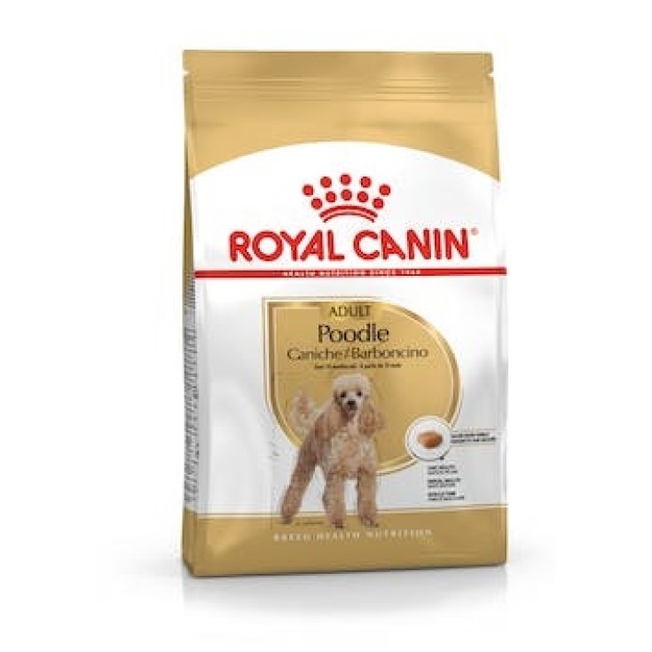BHN POODLE ADULT 7,5KG