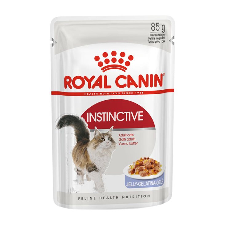 Instinctive in Jelly - 85GR
