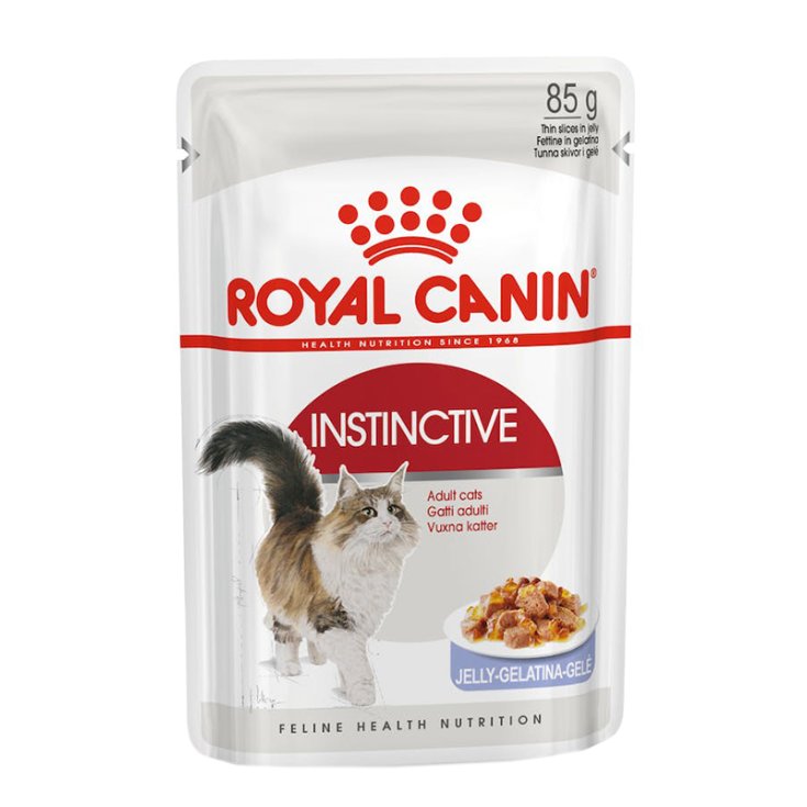 FHN WET INSTINCTIVE JELL12X85G