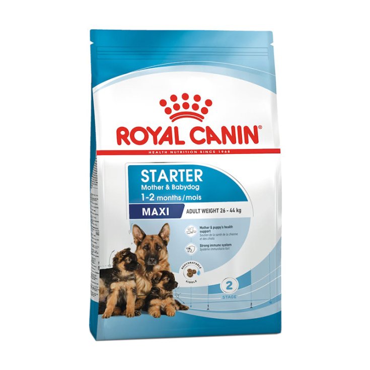 Maxi Starter Mother & Baby Dog - 4KG