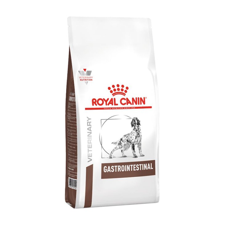 Veterinary Diet Gastro Intestinal - 15KG