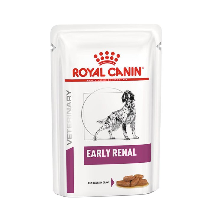 Veterinary Diet Early Renal - 12X100GR