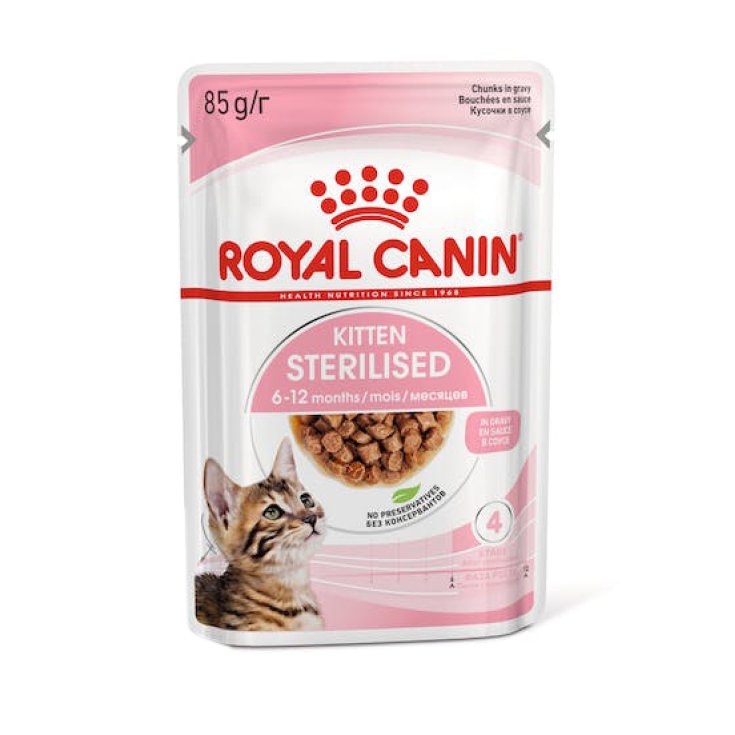 Kitten Sterilised in Salsa - 85GR