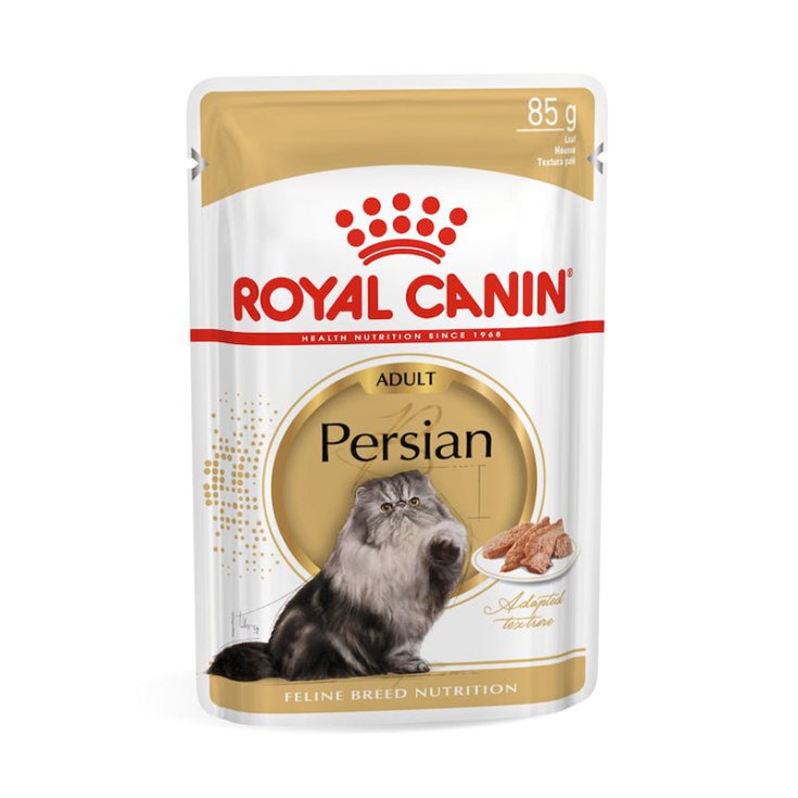 Adult Persian - 85GR