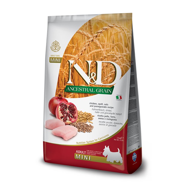 Natural & Delicious Ancestral Grain Adult Mini con Pollo e Melograno - 2,50KG