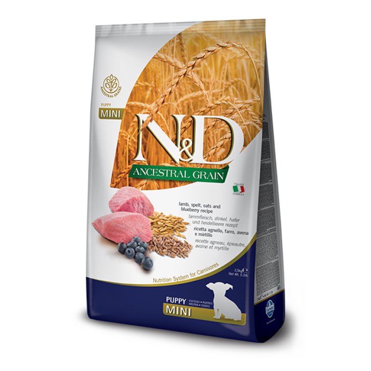 N&D LG DOG LAMB/BLUEBERRY PU7K