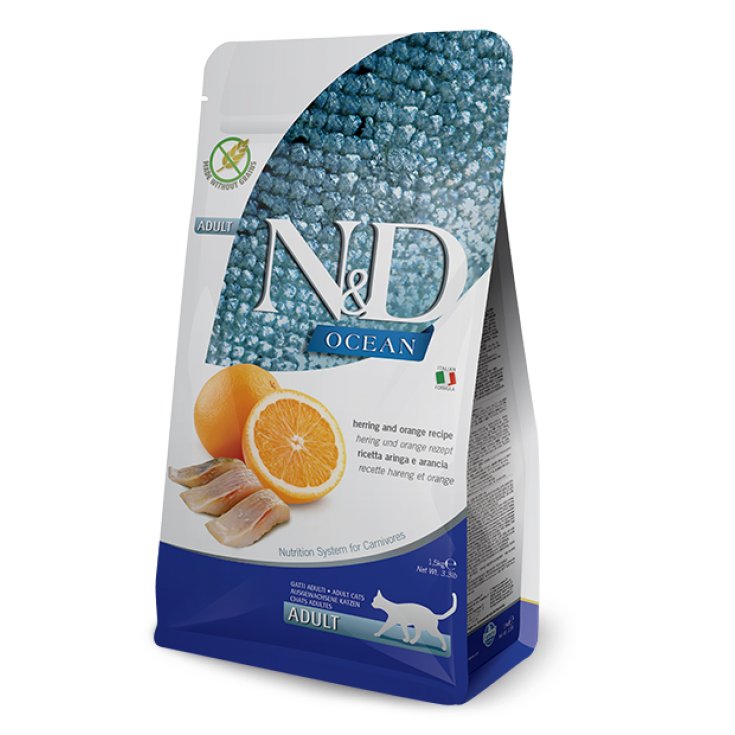 Natural & Delicious Ocean con Aringa e Arancia - 1,50KG