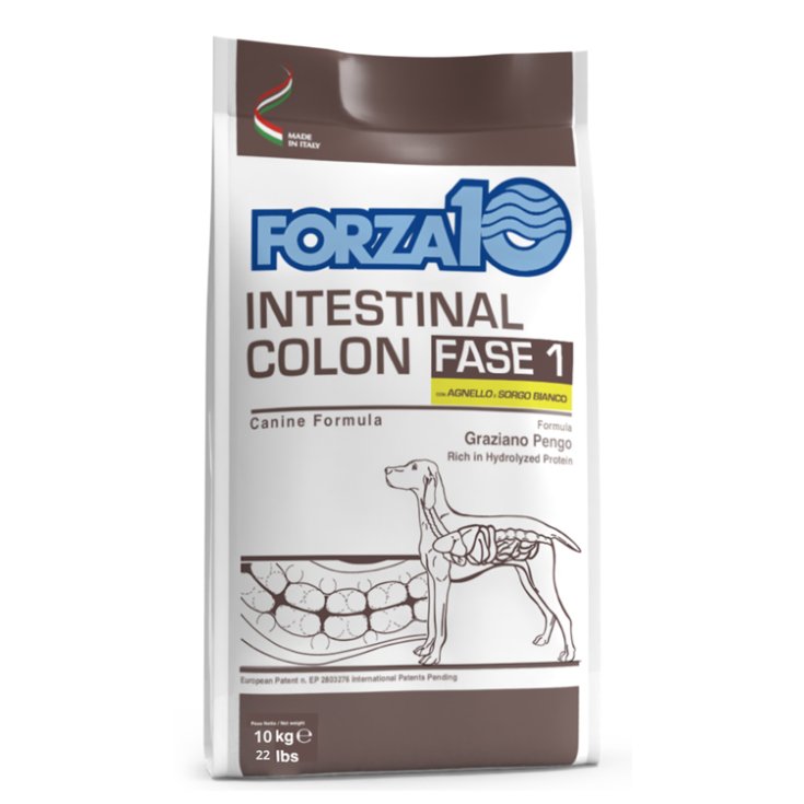 Active Intestinal Colon Fase 1 con Agnello e Sorgo - 10KG
