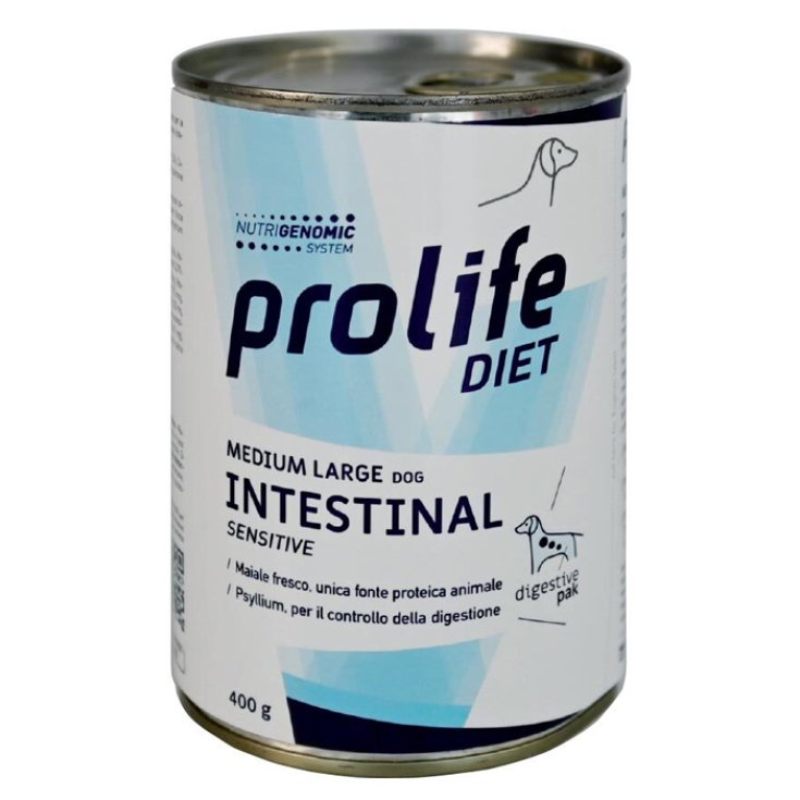 Diet Dog Medium Large Intestinal Sensitive Maiale - 400GR