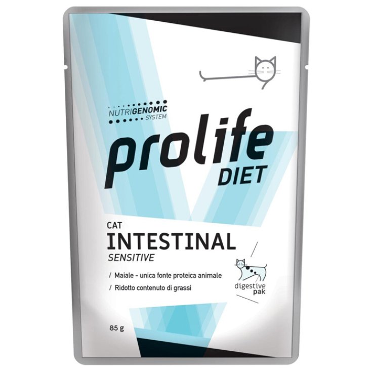 Diet Cat Intestinal Sensitive Maiale - 85GR