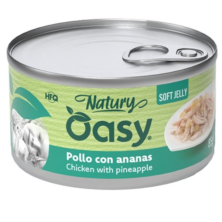OY CAT WET NSJ POL ANANAS 150G