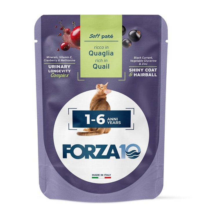 F10MANT CATAD1-6 QUAGWPAT'80G