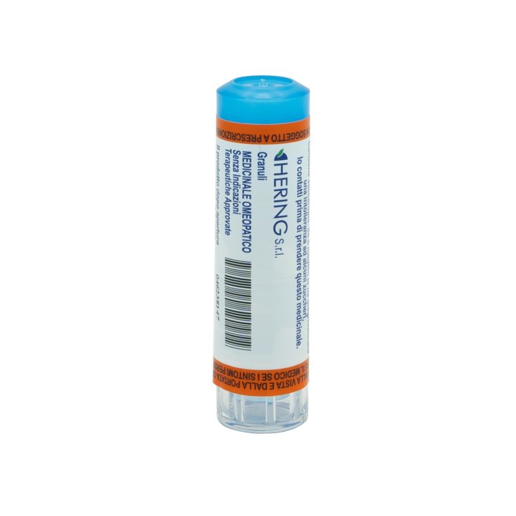 ALLIUM CEPA*15CH 80GR 4G