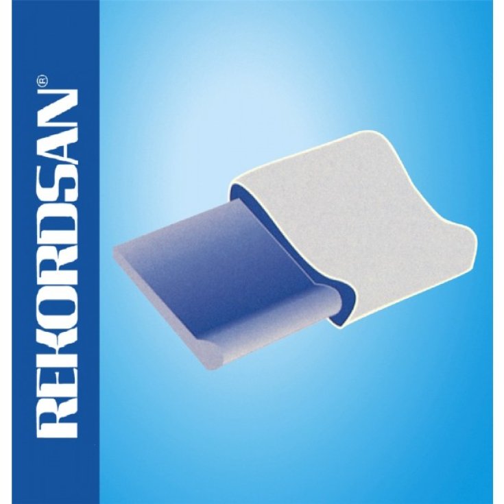 Guanciale Comfort Rekordsan 1 Pezzo