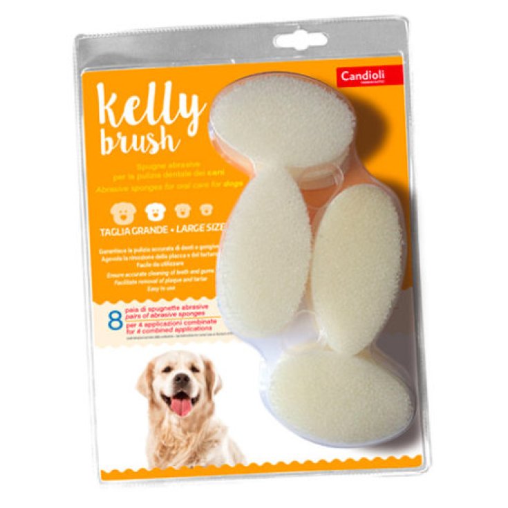 Kelly Brush Candioli 4 Pezzi
